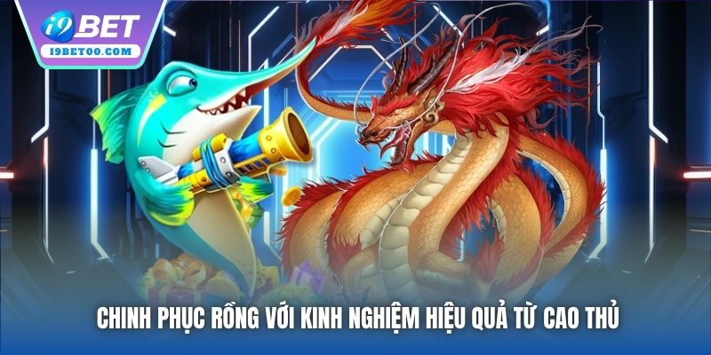Chinh phục Rồng với kinh nghiệm hiệu quả từ cao thủ