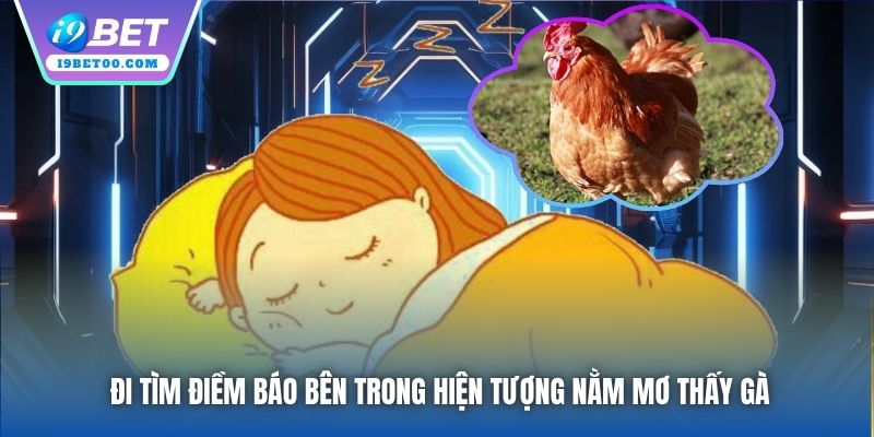 Đi tìm điềm báo bên trong hiện tượng nằm mơ thấy gà