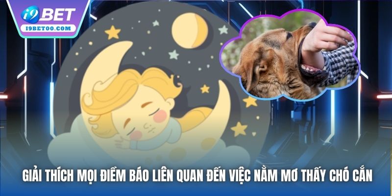 Giải thích mọi điềm báo liên quan đến việc nằm mơ thấy chó cắn