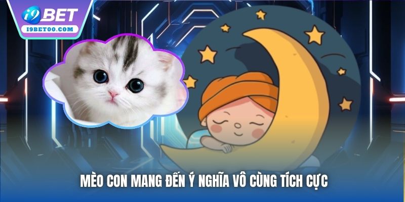 Mèo con mang đến ý nghĩa vô cùng tích cực