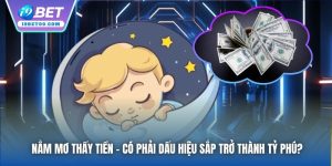 Nằm Mơ Thấy Tiền - Có Phải Dấu Hiệu Sắp Trở Thành Tỷ Phú?