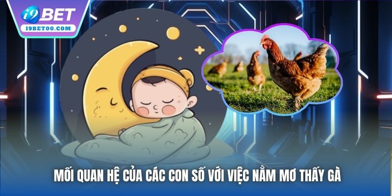Mối quan hệ của các con số với việc nằm mơ thấy gà