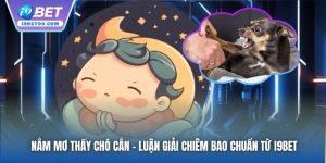 Nằm Mơ Thấy Chó Cắn - Luận Giải Chiêm Bao Chuẩn Từ I9BET