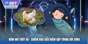 Nằm Mơ Thấy Gà - Chiêm Bao Siêu Hiếm Gặp Trong Đời Sống