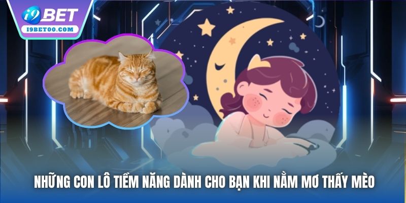 Những con lô tiềm năng dành cho bạn khi nằm mơ thấy mèo