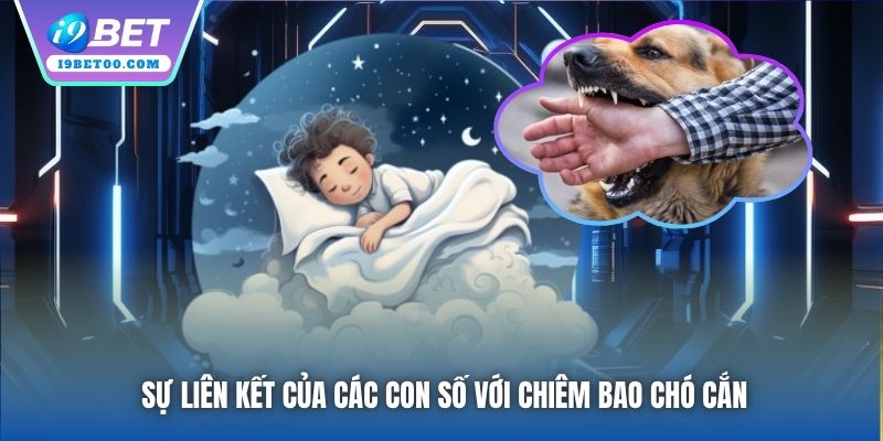 Sự liên kết của các con số với chiêm bao chó cắn