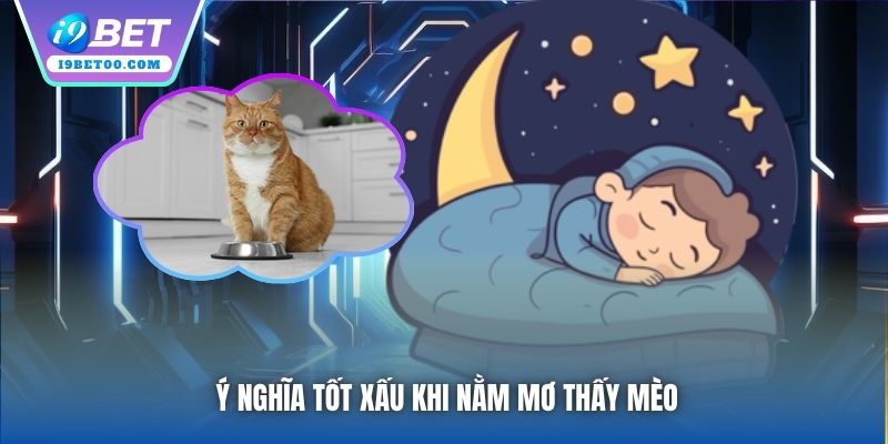 Ý nghĩa tốt xấu khi nằm mơ thấy mèo